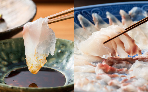 幻の 高級魚 を北九州の海から新鮮にお届け！ クエ刺 ・ 鍋 セット （30cm）