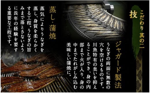 鰻天屋の九州産うなぎ 蒲焼 約140g×2尾 セット