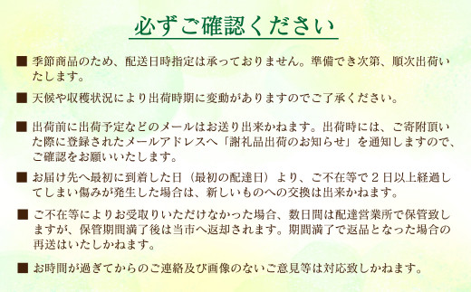 特選　日野苺「煌（きらめき）」（約450g）～糖度13度以上を厳選～ 【オンライン決済限定】