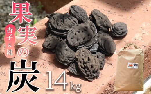 【炭】 果実の炭 （杏子 & 桃）14kg 781202 - 長野県千曲市