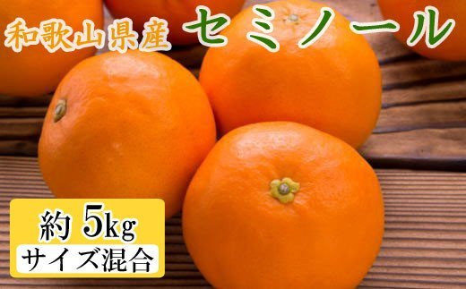 和歌山県由良町産セミノールオレンジ約5kg(サイズ混合　秀品) 【tec922A】 765095 - 和歌山県串本町