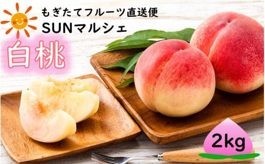 SUNマルシェの新鮮直送フルーツ「白桃/ひかわ」2kg _2172R