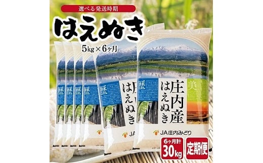 1066T12　【定期便】はえぬき5kg×6ヶ月連続(12月～5月) 1484714 - 山形県遊佐町