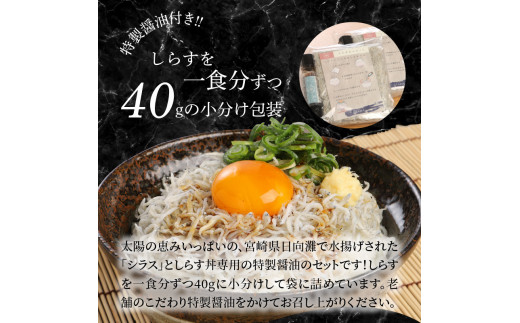 宮崎産 しらす丼 セット 小分け 10食分 400g 老舗醸造所 特製醤油付き　N065-A175