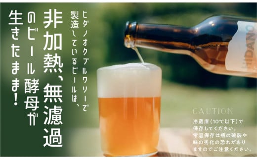 クラフトビール IPA・ペールエール・季節のお任せ 飲み比べ 3本 セット