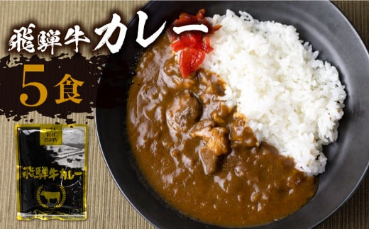 【1月発送】飛騨牛カレー (5袋) ビーフカレー 飛騨牛 カレー レトルトカレー  簡易包装 ふるさと清見  DC005VC01 603339 - 岐阜県高山市