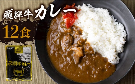 【2月発送】飛騨牛カレー (12袋) カレー ビーフカレー 簡易包装  レトルトカレー ふるさと清見 DC006VC02 598747 - 岐阜県高山市