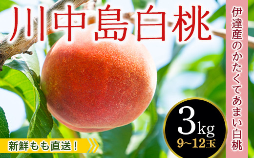 福島の桃 【新鮮もも直送】桃 川中島白桃 3kg（9～12玉） 先行予約 フルーツ 果物 もも モモ momo F20C-606