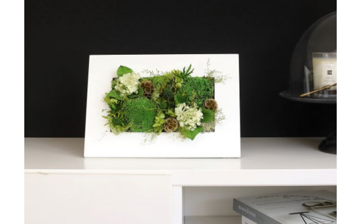 プリザーブドフラワー フォレスト（ホワイト）