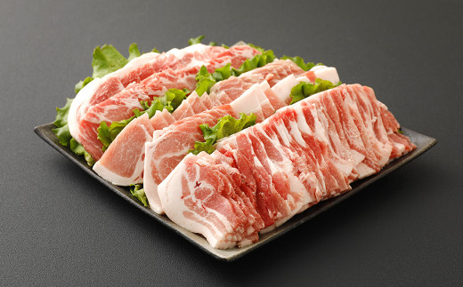 【定期便12ヶ月】えびの市発(彩) いもこ豚 バラエティセット 鍋  鉄板焼