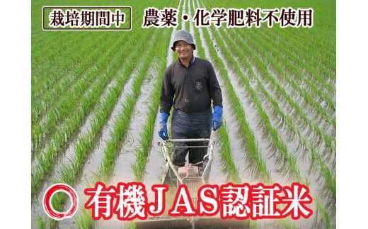 SA1803 令和5年産【玄米】ササニシキ5kg〔合鴨農法・有機JAS認証米