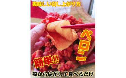 宮城県産 蒸しほや 1kg 250g 4 ホヤ おつまみ 小分け 宮城県石巻市 ふるさとチョイス ふるさと納税サイト