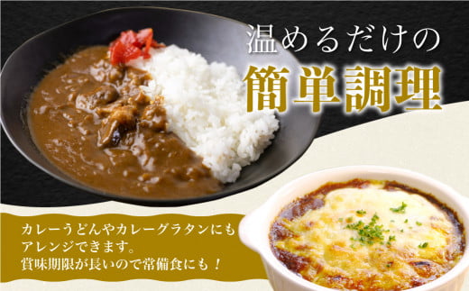 飛騨牛カレー (12袋) カレー ビーフカレー 簡易包装 レトルトカレー