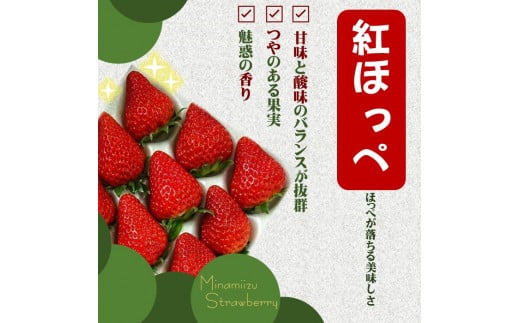 予約販売】特別賞受賞！完熟冷凍いちご 1kg BabyBerryFarm いちご 果物