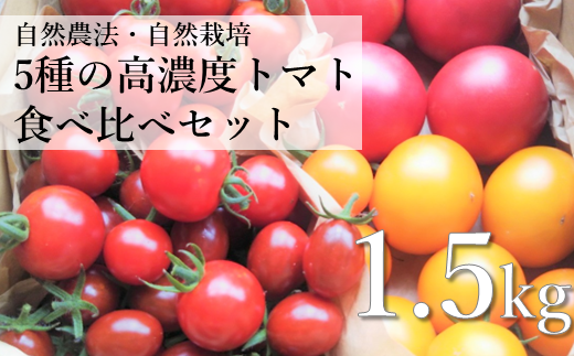 【先行予約：7月下旬より順次発送予定】自然農法 5種 高濃度 ミニ / ミディ / 大玉トマト 食べ比べ セット 1.5kg  栽培期間中 農薬不使用 農家 朝採り 直送 遠野もぐもぐカントリー 689161 - 岩手県遠野市