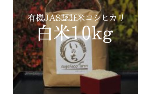 有機JAS認証米コシヒカリ白米10kg 308473 - 福島県喜多方市