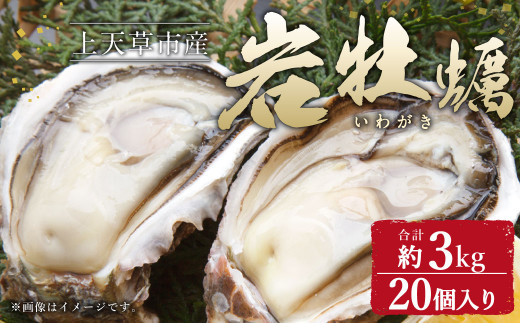 岩牡蠣 20個 合計約3kg 1個あたり 150g～200g 加熱用 かき カキ