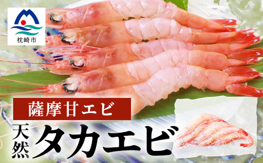 甘エビ より甘い 天然 タカエビ 薩摩甘海老 入荷次第発送 鹿児島県 枕崎港 水揚げ 新鮮 冷凍 最終受付 10月末日 877 鹿児島県枕崎市 ふるさとチョイス ふるさと納税サイト