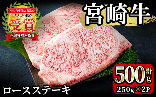 宮崎牛!ロースステーキ(計500g・250g×2)