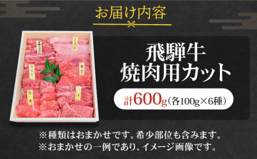 厳選！じゅわっと柔らかい＞飛騨牛 焼肉用 6種食べ比べセット【有限