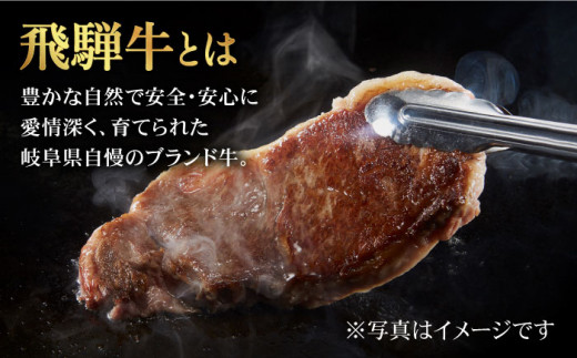 厳選！じゅわっと柔らかい＞飛騨牛 焼肉用 6種食べ比べセット【有限