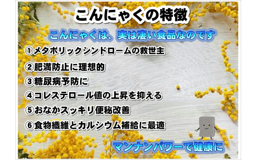 8パターンから選べる こんにゃくセット 16個入り レギュラーサイズ 北上市北上市 ふるさと納税 ふるさとチョイス 8パターンから選べる こんにゃくセット 16個入り レギュラーサイズ 北上市北上市 ふるさと納税 ふるさとチョイス