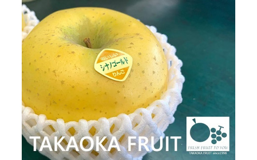 りんご シナノゴールド 贈答用 3kg
