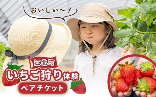 【先行予約】【五感で楽しむ】いちご狩り体験 ペアチケット【花祭いちごの谷】 [HBN002] 308577 - 佐賀県江北町
