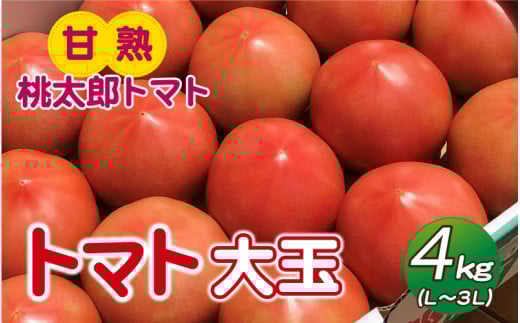トマト大玉　4kg　Ｌ～3Ｌ（12～20個）