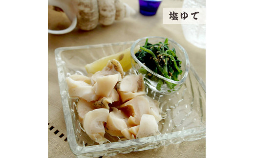 京都舞鶴 活 白バイ貝 特大 1kg 約10個 刺身用 エッチュウバイ貝 京都府舞鶴市 ふるさとチョイス ふるさと納税サイト