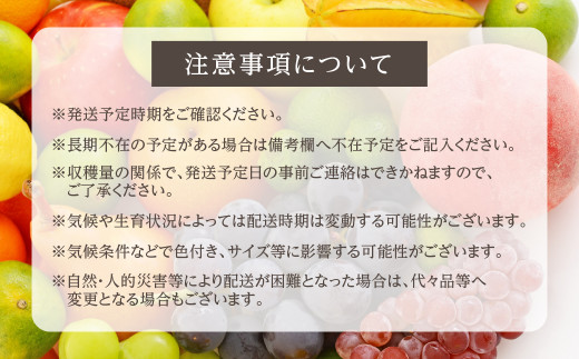 先行予約 山本果樹園 橋本スモモ 希少 品種 すもも 8月上旬～ 順次発送 約2.5㎏ 大玉22個前後 期間限定 飛騨高山 プラム 果物 くだもの  果実 b563