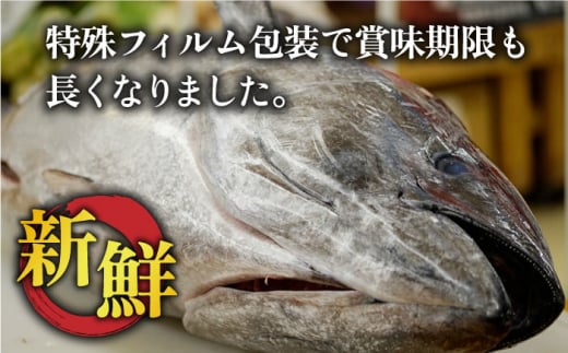 【ながさき水産業大賞受賞の新鮮なマグロを冷蔵でお届け！！】 五島列島産 養殖 生本かみマグロ 赤身 中トロ 計約500g マグロ まぐろ 鮪 刺身  ブロック 【カミティバリュー】 [RBP003]