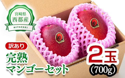 今が旬！ 西都市産完熟マンゴー 2L×2玉 糖度12度以上＜1.2-37＞