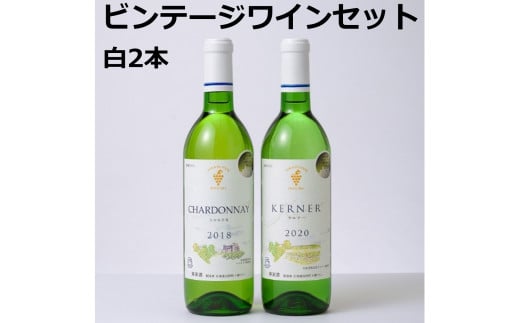 十勝ワインビンテージ白ワイン2本セット【A002-5】