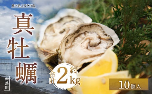 上天草産 真牡蠣 10個入 加熱用 カキ かき 350401 - 熊本県上天草市