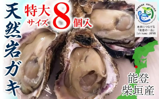 [C019] 【期間限定】能登柴垣産 特大サイズ天然岩牡蠣（生食可）殻付８個入