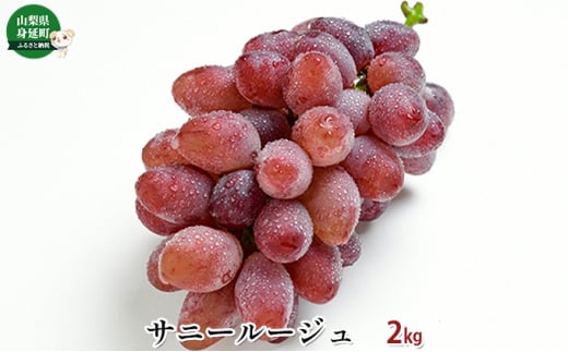 サニールージュ約2kg[№5530-0307] 720113 - 山梨県身延町