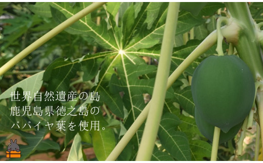 徳之島のてぃだ（太陽）をたっぷり浴びて育ったパパイヤの葉を使用しています。