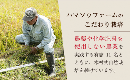 令和5年産 新米 ☆先行予約】【木村式自然栽培】 玄米 くまみのり 約