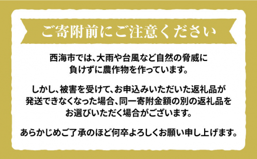 令和5年産 新米 ☆先行予約】【木村式自然栽培】 玄米 くまみのり 約