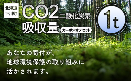 CO2（二酸化炭素）吸収量 1t カーボンオフセット 故郷 ふるさと 納税 北海道 下川町 F4G-0011 549755 - 北海道下川町