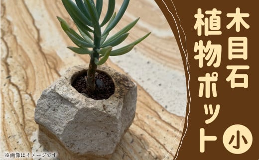 木目石植物ポット（小） 951191 - 熊本県上天草市