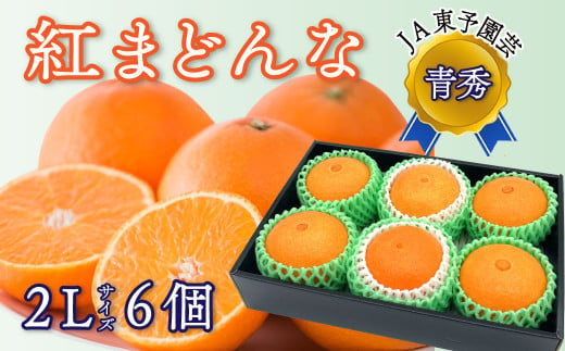 先行予約】紅まどんな（東予園芸）～青秀～2Lサイズ６個入り［2022年11