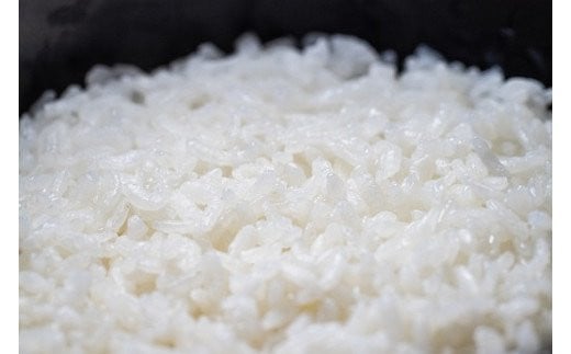 炊きたてはもちろん、冷めても美味しいお米です。