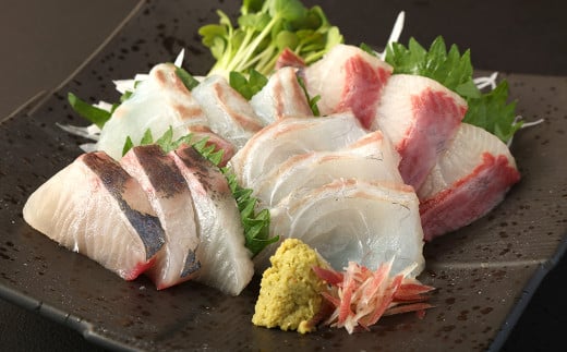 熊本県産刺身 柵4種セット 合計600g お刺身 鮮魚