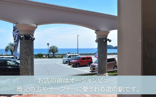 ふるさと納税 徳島県 海陽町 【定期便年２回】阿波の国海陽町 旬のお