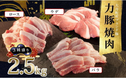 【高知県 大月町産ブランド豚】力豚焼き肉 3種盛り2.5kg 790744 - 高知県大月町