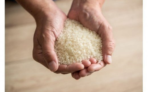 毎日食べるお米は美味しいお米を