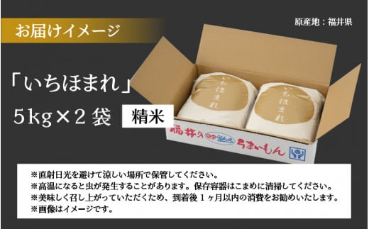 令和5年産 福井県の新しいブランド米 いちほまれ5kg ×2袋（計 10kg