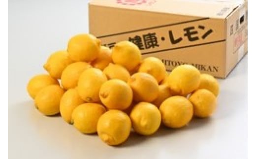 季節のフルーツ「レモン」 約5kg[令和5年11月〜令和6年4月発送]